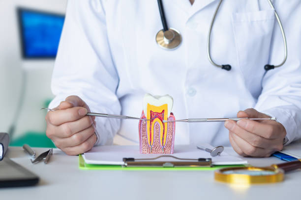 Best Emergency Dental Care for Broken or Chipped Teeth in Hockinson, WA